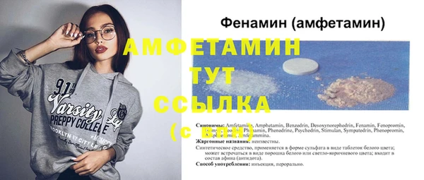 спиды Инта