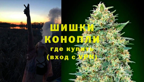 спиды Инта