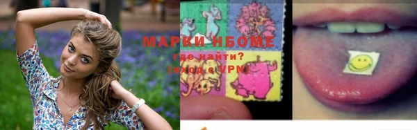 твердый Инсар