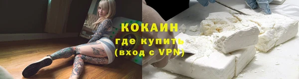 твердый Инсар