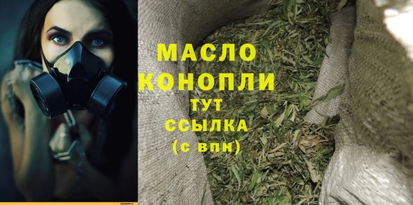твердый Инсар