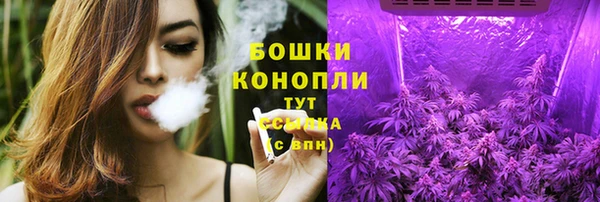 твердый Инсар