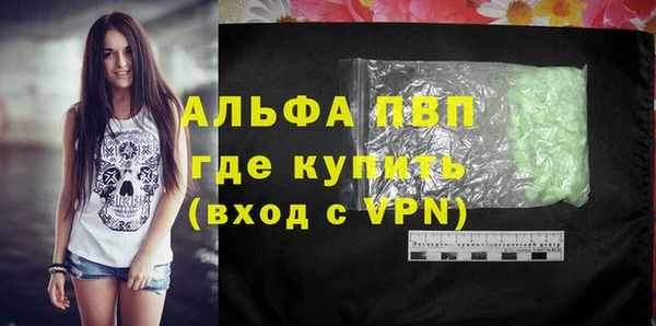 твердый Инсар