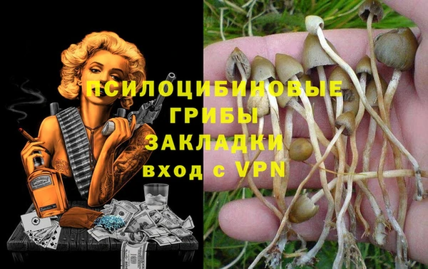 спиды Инта